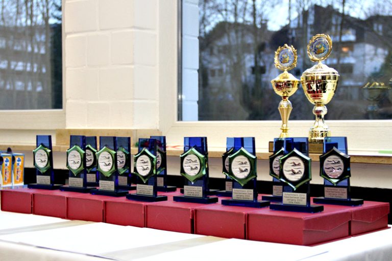 Ehrung der besten PSV-Schwimmerinnen und Schwimmer 2013